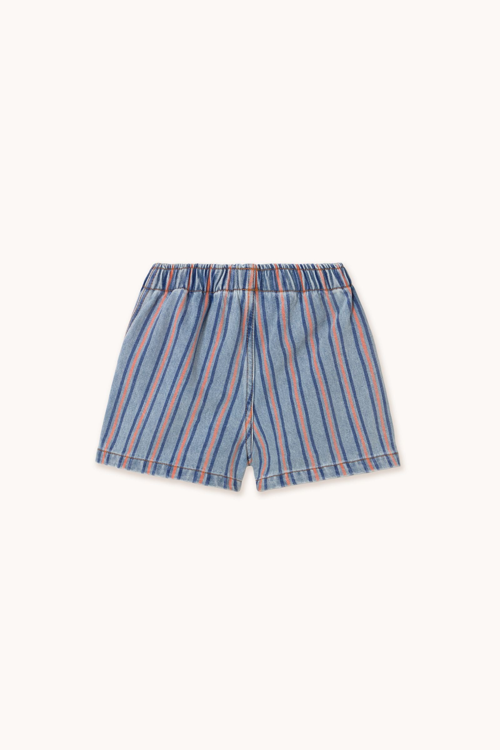 Stripes Multicolor Shorts