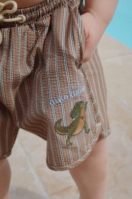 Seer Asnou Swimshorts || Tigers Eye